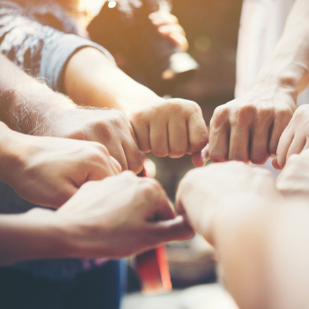 �����ϸ硤(�й�)���ֲ��ٷ���վ