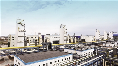 �����ϸ硤(�й�)���ֲ��ٷ���վ