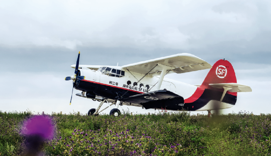 �����ϸ硤(�й�)���ֲ��ٷ���վ